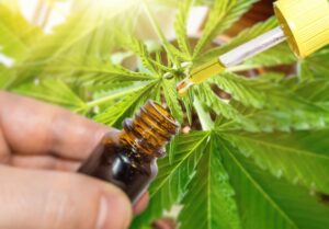 CBD Oil for COPD: What You Need to Know
