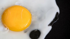 Eggs and Egg Yolks Bad for You or Good
